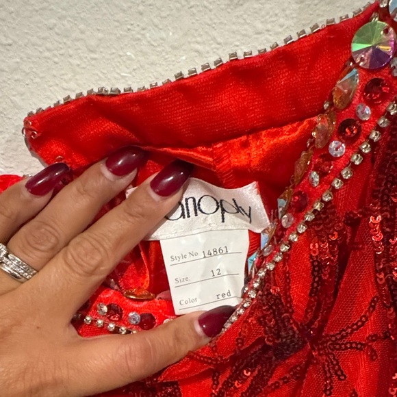 Panoply Scarlet Elegance Prom Dress - Picture 8 of 12